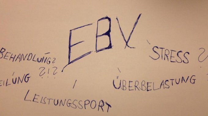 Epstein Barr Virus (EBV)