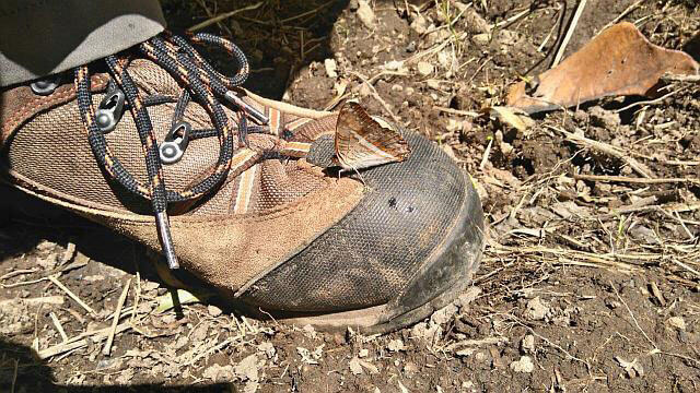 Dolomite Pordoi Trekkingschuhe